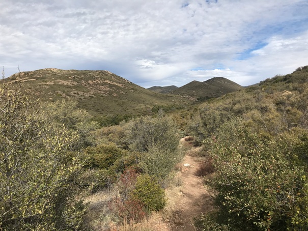 Mount Laguna