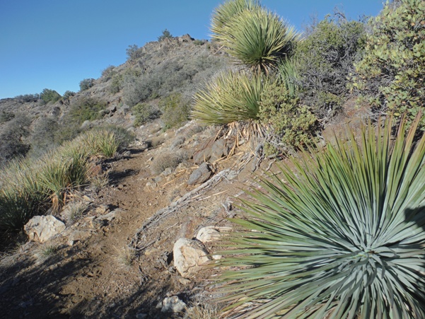 pacific crest trail