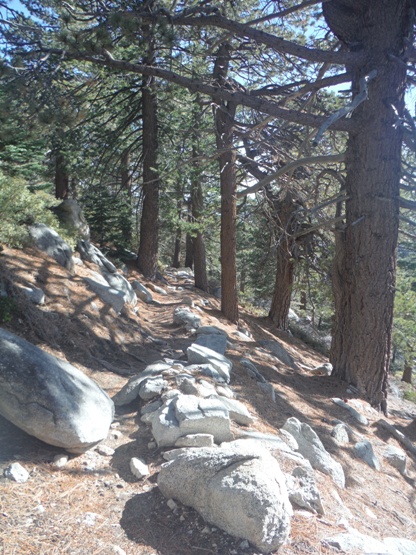 pacific crest trail