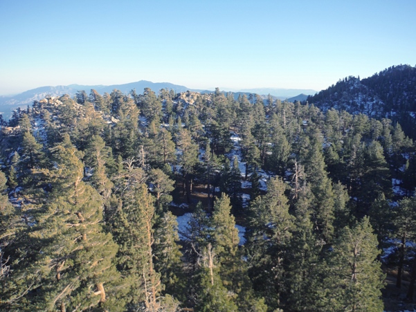 Grubbs Viewpoint