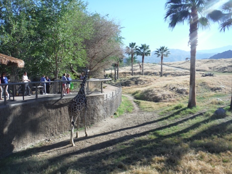 Living Desert 