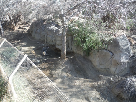 Living Desert 