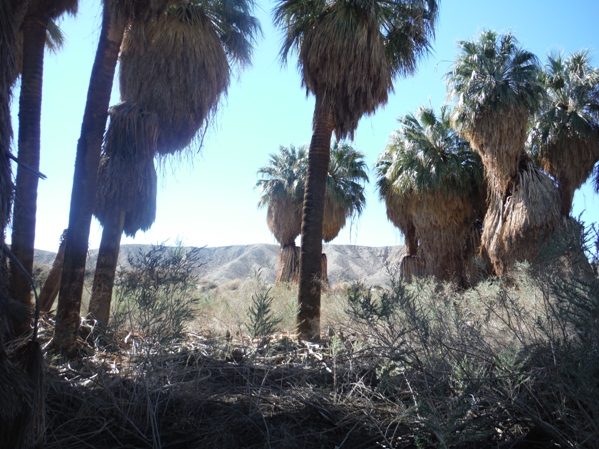 coachella valley