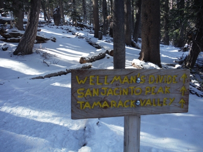 wellman divide