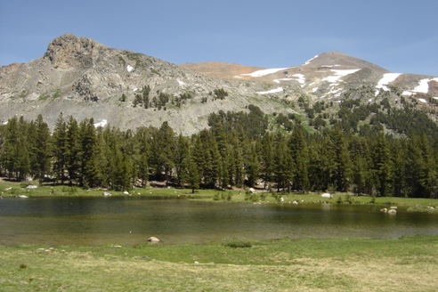 Views near Tioga Pass