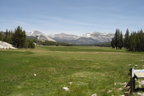 Tuolumne Meadows