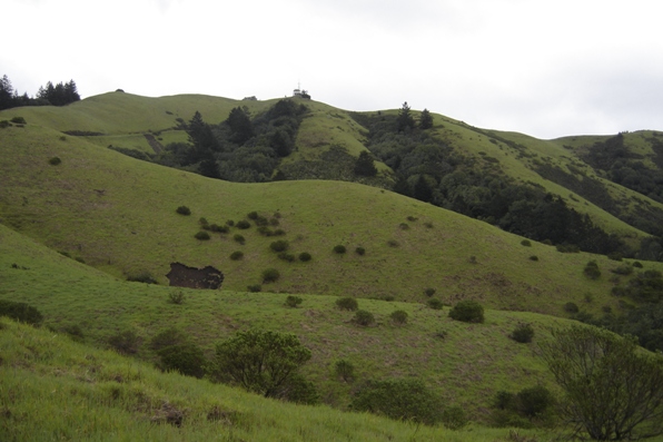 Barnabe Mountain top