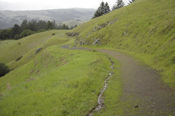 Barnabe mountain trail