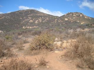 Cowles Mountain