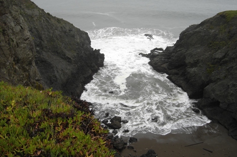 Pool along Coastal Trail