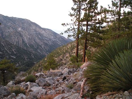 Mount San Antonio Trail Views