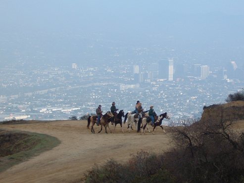 Mount Hollywood trail