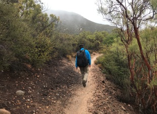 pct hike