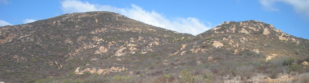 Cowles Mountain 