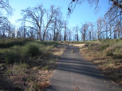 Cuyamaca Peak Fire Road