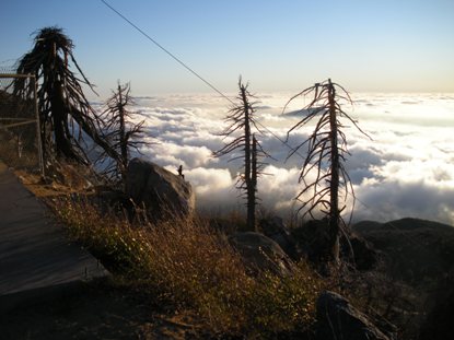 Cuyamaca Peak views