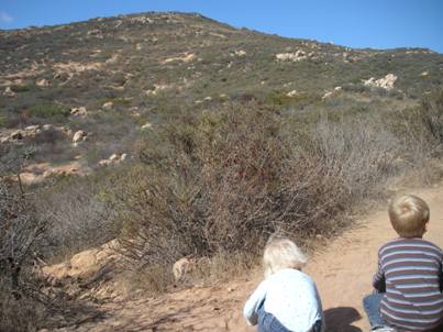 Cowles Mountain 