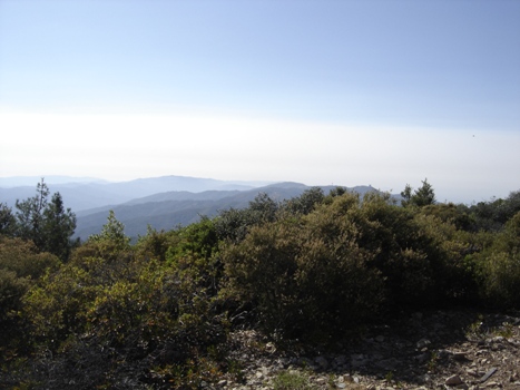 Loma Prieta views