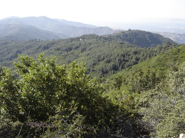 Loma Prieta views