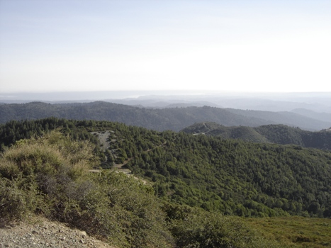 Loma Prieta views