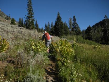 Deadfall Lakes trail