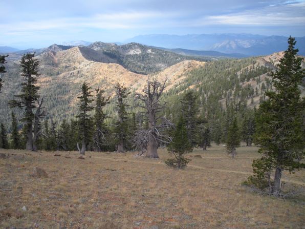 SW from Mount Eddy