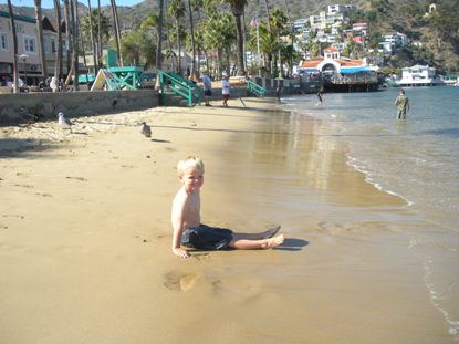 Beach in Avalon