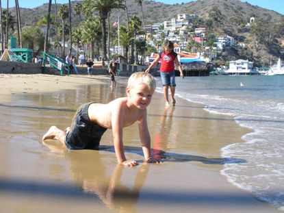 Beach in Avalon