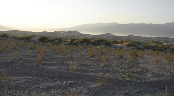 Death Valley Sand Dunes