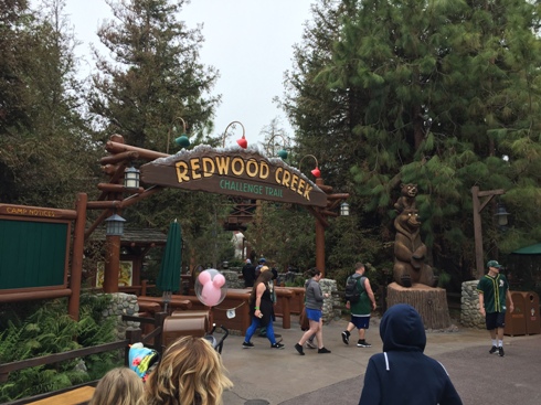 Redwood Creek Challenge Trail 