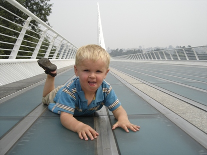 Sundial Bridge 