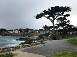 Monterey 