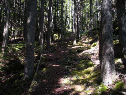 leading peak trail