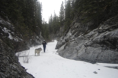 Grotto Canyon Banff