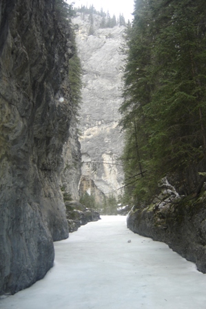 Grotto Canyon Icewalk