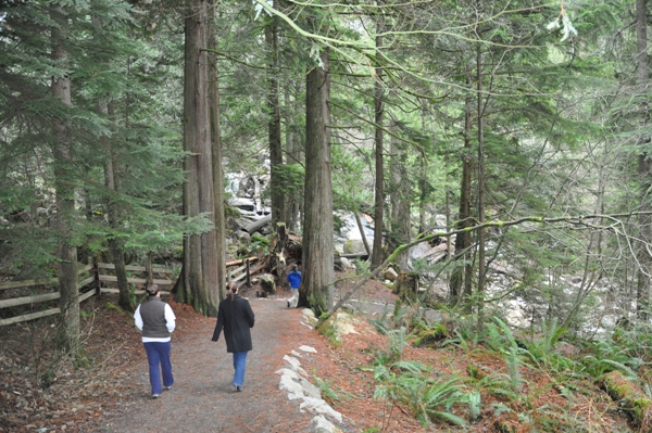 Shannon Falls trail