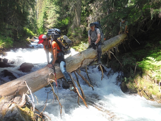 log crossing