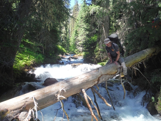 log crossing