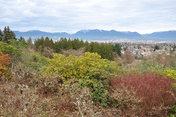 View of Vancouver 