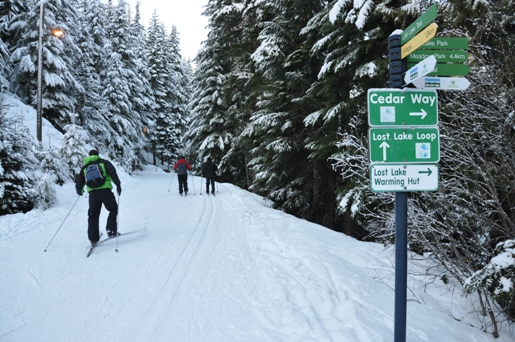 whistler ski trails