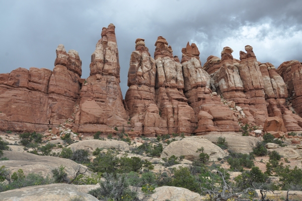 needles district