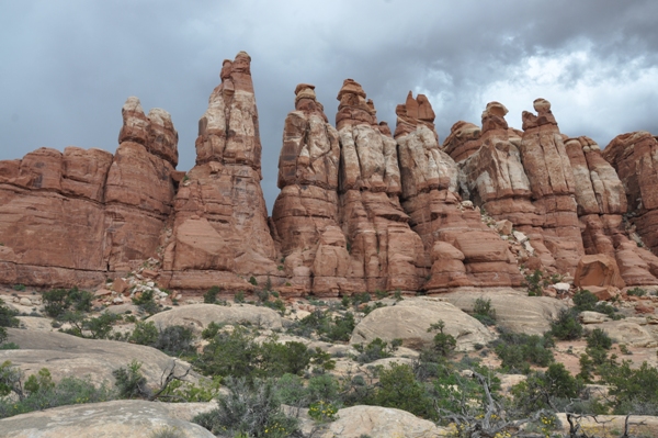 needles district