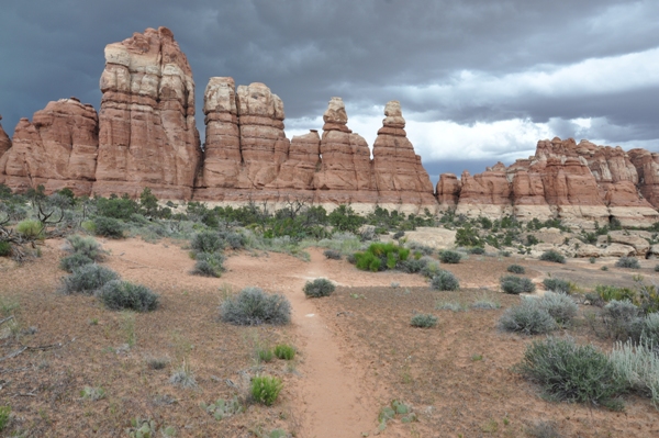 needles trail