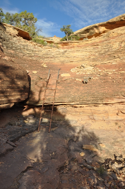 Needles District