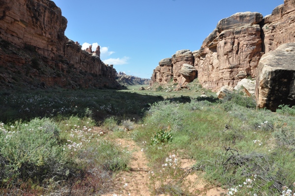 cyclone canyon