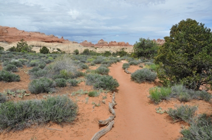 canyonlands