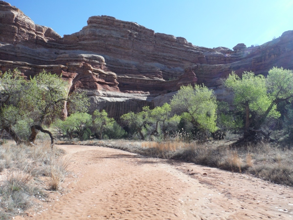 canyonlands