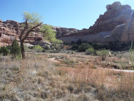 canyonlands