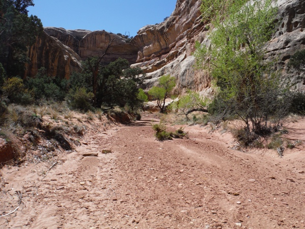 Horse Canyon