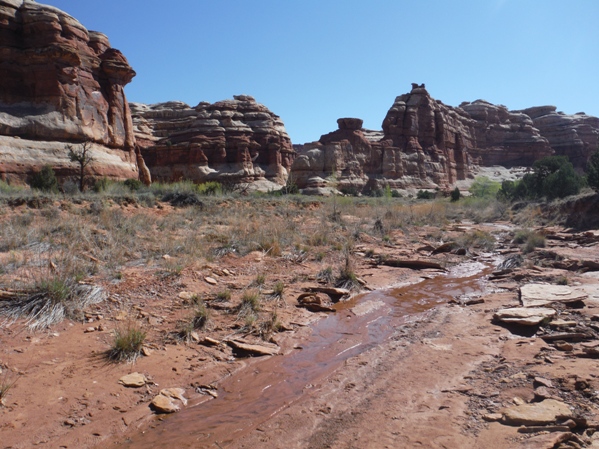 maze overlook